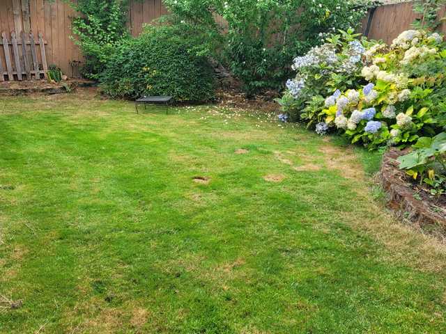 Tropical Sunset Adult Family Home LLC - Assisted Living Home photo 4 in Lake Stevens, WA